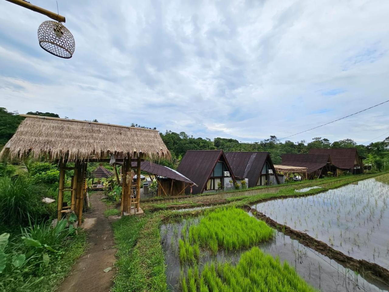 فيلا Umauthu Bali Selemadeg المظهر الخارجي الصورة
